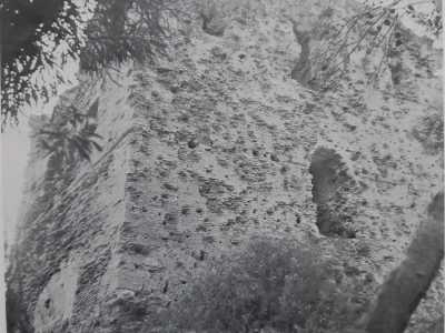 La torre � priva di coronamento, ma conserva nella parte superiore alcuni beccatelli dai quali un tempo si aprivano delle caditoie. Per capire qualcosa dei suoi interni ci affidiamo a foto in bianco e nero